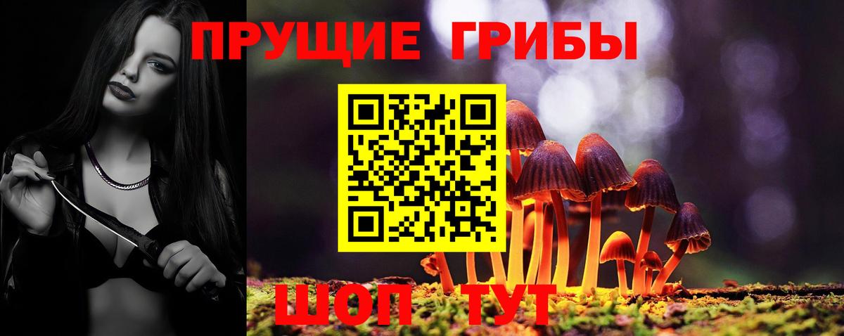Гуково  Псилоцибиновые грибы Cubensis  Вход с VPN  Галлюциногенные грибы ЛСД 